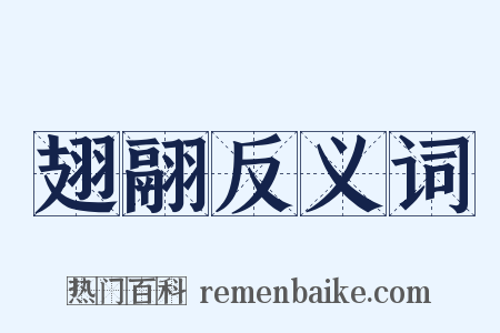 翅翮反义词是什么意思的图片